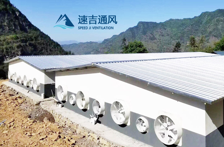 降温水帘风机设计安装高度标准和猪场湿帘安装运用8个误解 降温水帘风机设计安装高度标准和猪场湿帘安装运用8个误解