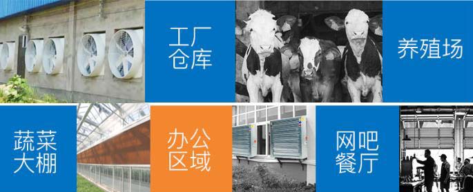 大棚种植专用水帘风机通风降温湿帘纸及水帘墙系统 大棚种植专用水帘风机通风降温湿帘纸及水帘墙系统