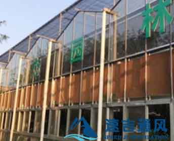 大棚安装水帘降温效果图片 大棚安装水帘降温效果图片