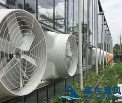 蔬菜大棚安装负压风机效果图片 蔬菜大棚安装负压风机效果图片