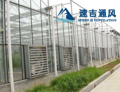 玻璃钢房大棚专用负压风机,镀锌板材质 玻璃钢房大棚专用负压风机,镀锌板材质