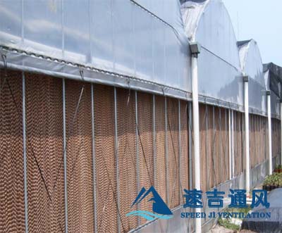 玻璃钢蔬菜大棚专用水帘_湿帘负压风机降温效果图 玻璃钢蔬菜大棚专用水帘_湿帘负压风机降温效果图
