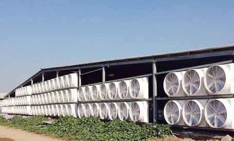 蚌埠负压风机的作用 蚌埠负压风机的作用