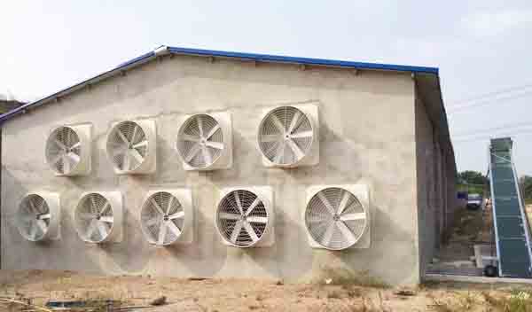 南通负压风机安装位置要好清洁维护 南通负压风机安装位置要好清洁维护