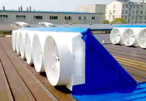 绍兴屋顶风机风帽